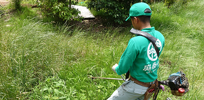 除草のイメージ02