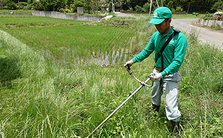 除草、土壌改良