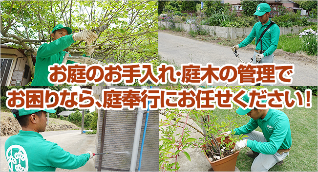 お庭のお手入れ・庭木の管理でお困りなら、庭奉行にお任せください！