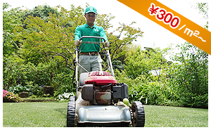 芝生のメンテナンス 1平方メートル300円から