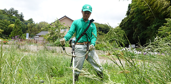 除草のイメージ01